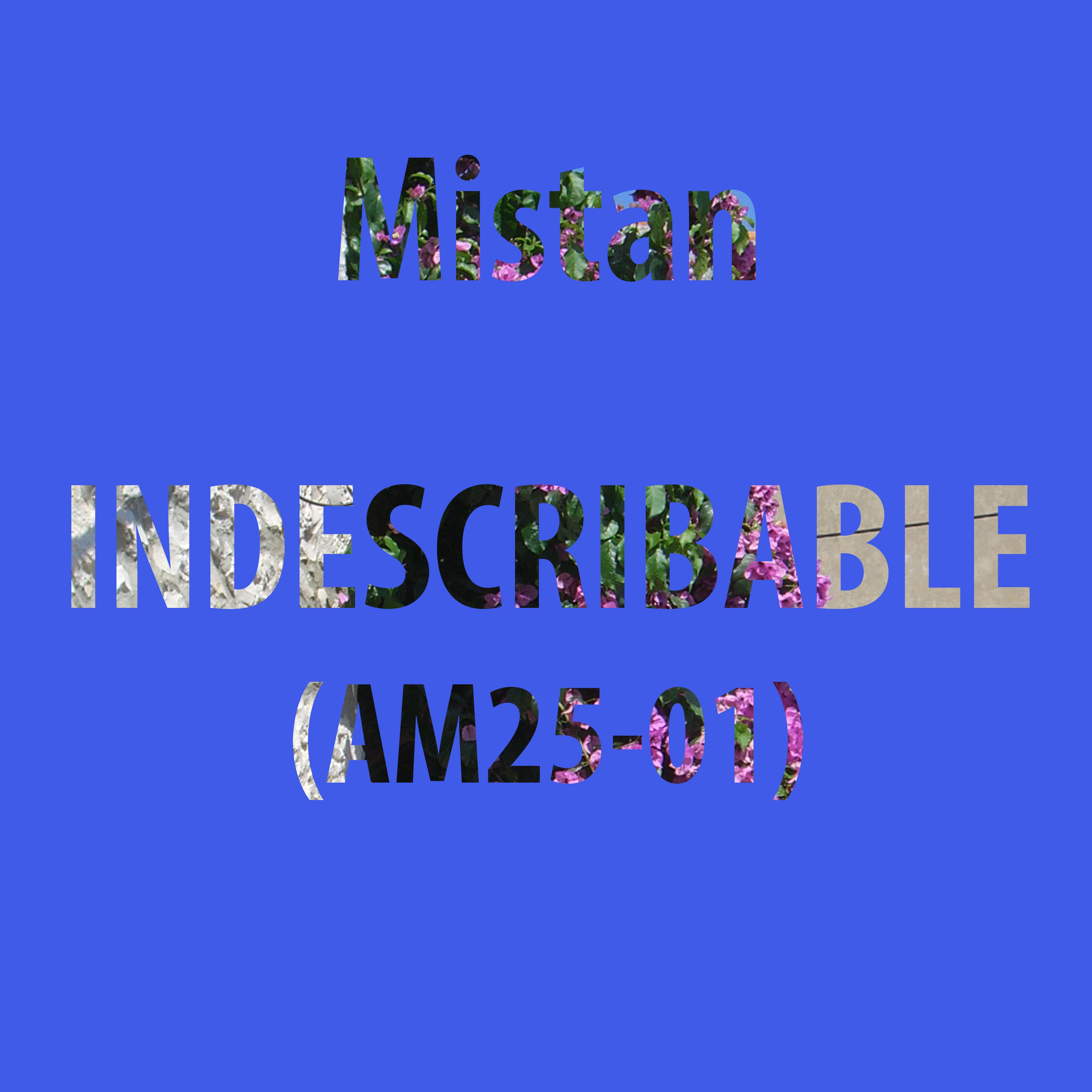 Indescribable (AM25-01)